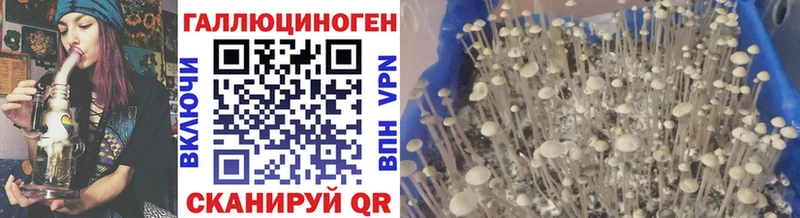 Галлюциногенные грибы прущие грибы  Бабаево 